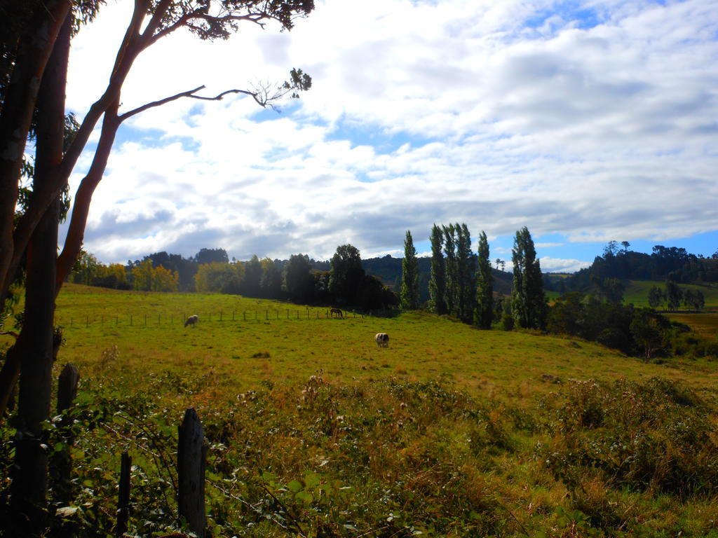 Parque 4* Quilquico